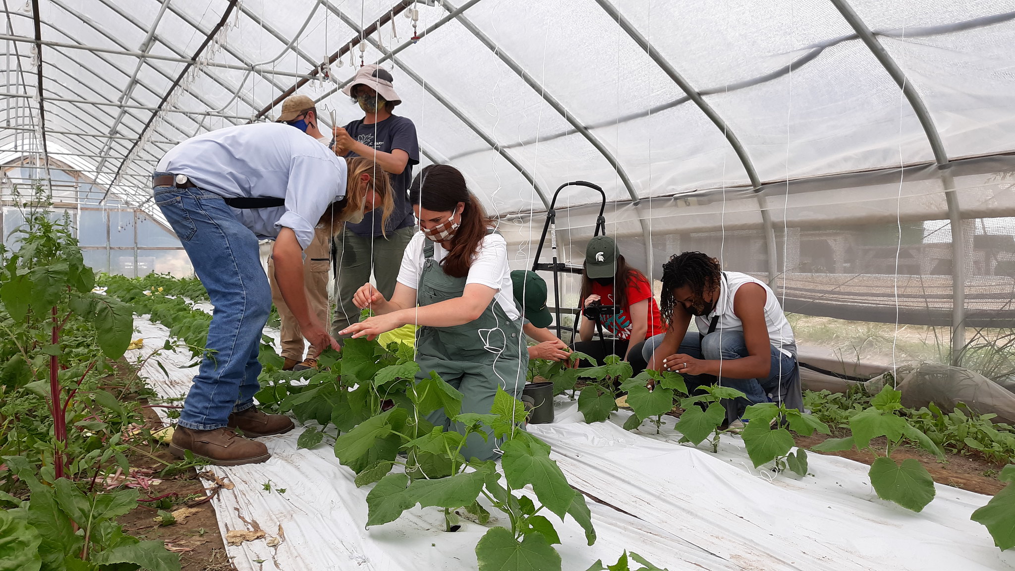 Agricultural training workshops